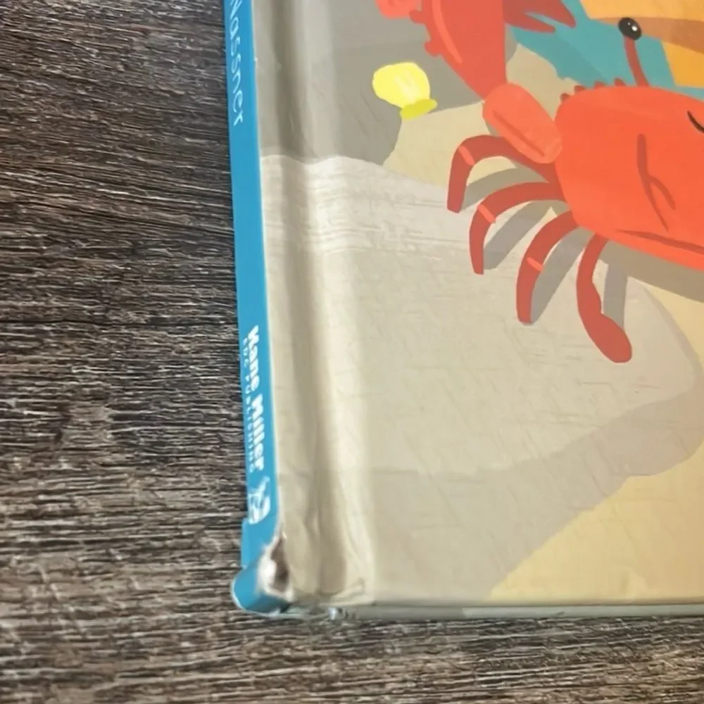 Usborne Secrets of the Seashore Shine-A-Light Kids Ocean Hardcover Book